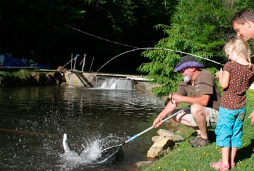pescar en Franklin Creek